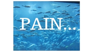 PAIN...